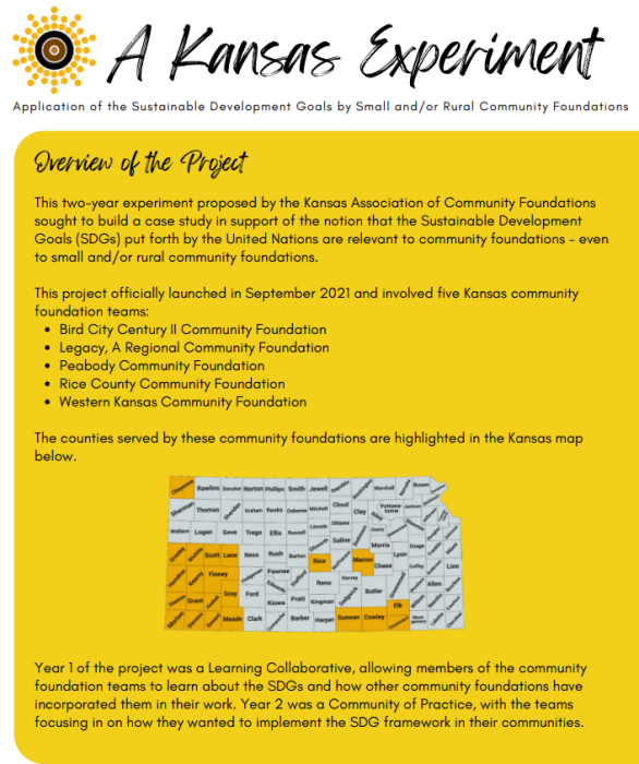 SDG Final Report Cover Image